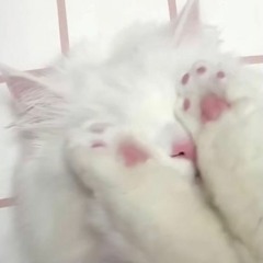 死にたい