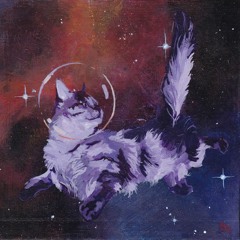 space cat