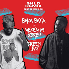 SHLD - Baka Baya X Mekem Mi Sore (Remix) [2023]