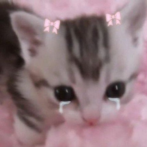 ~ ☆ F-cking boyfriend - the bird and the bee ☆ ~ SPED UP!