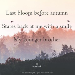 The Last Bloom (NaviarHaiku515)