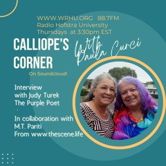 Interview with Judy Turek "The Purple Poet" About the Flash Mob Poetry Circle