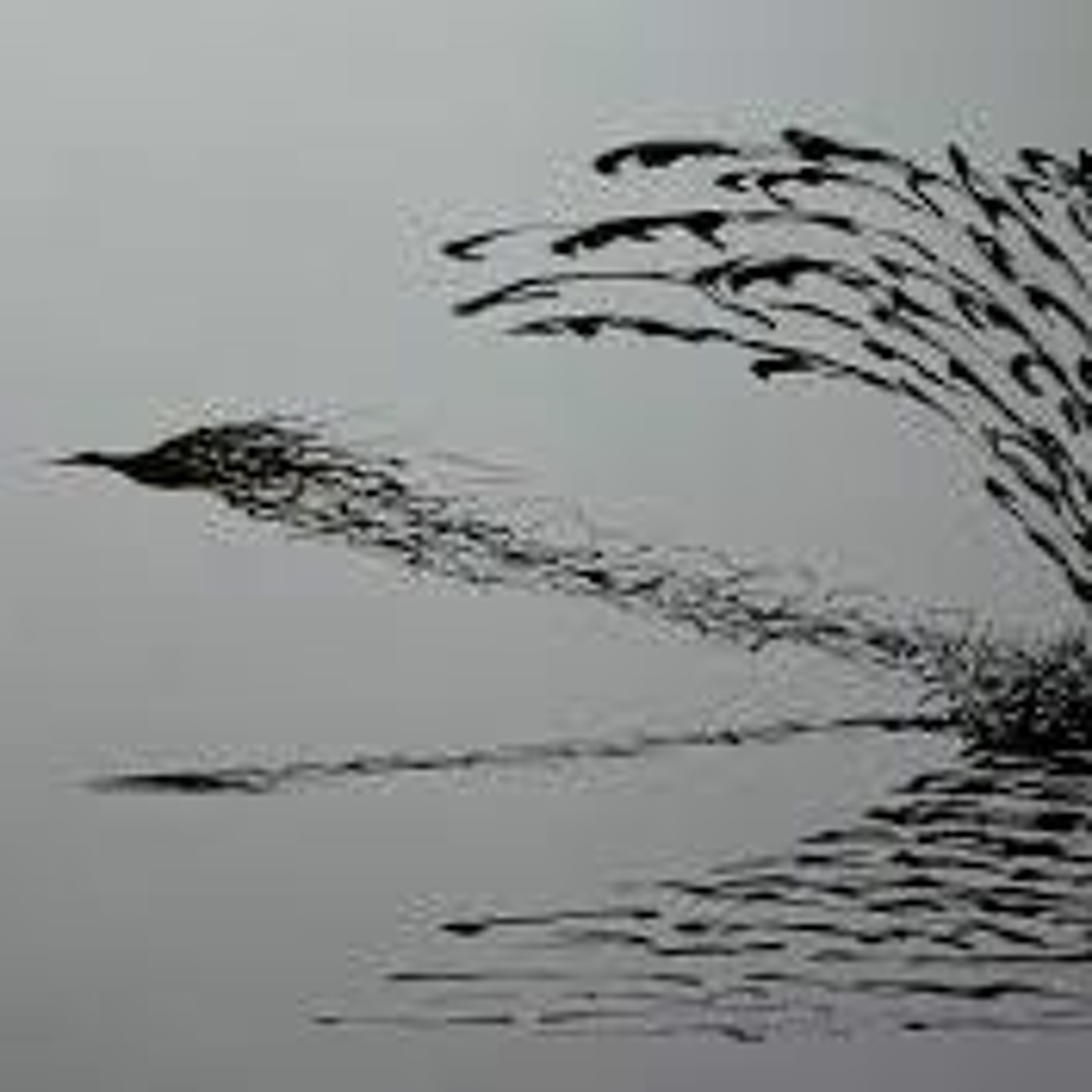 Les Yeux Fermés