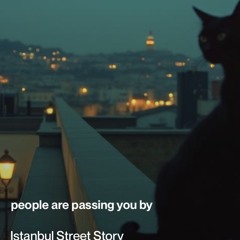 istanbul-there is a town ...