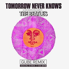 Tomorrow Never Knows - The Beatles (Gube Remix)