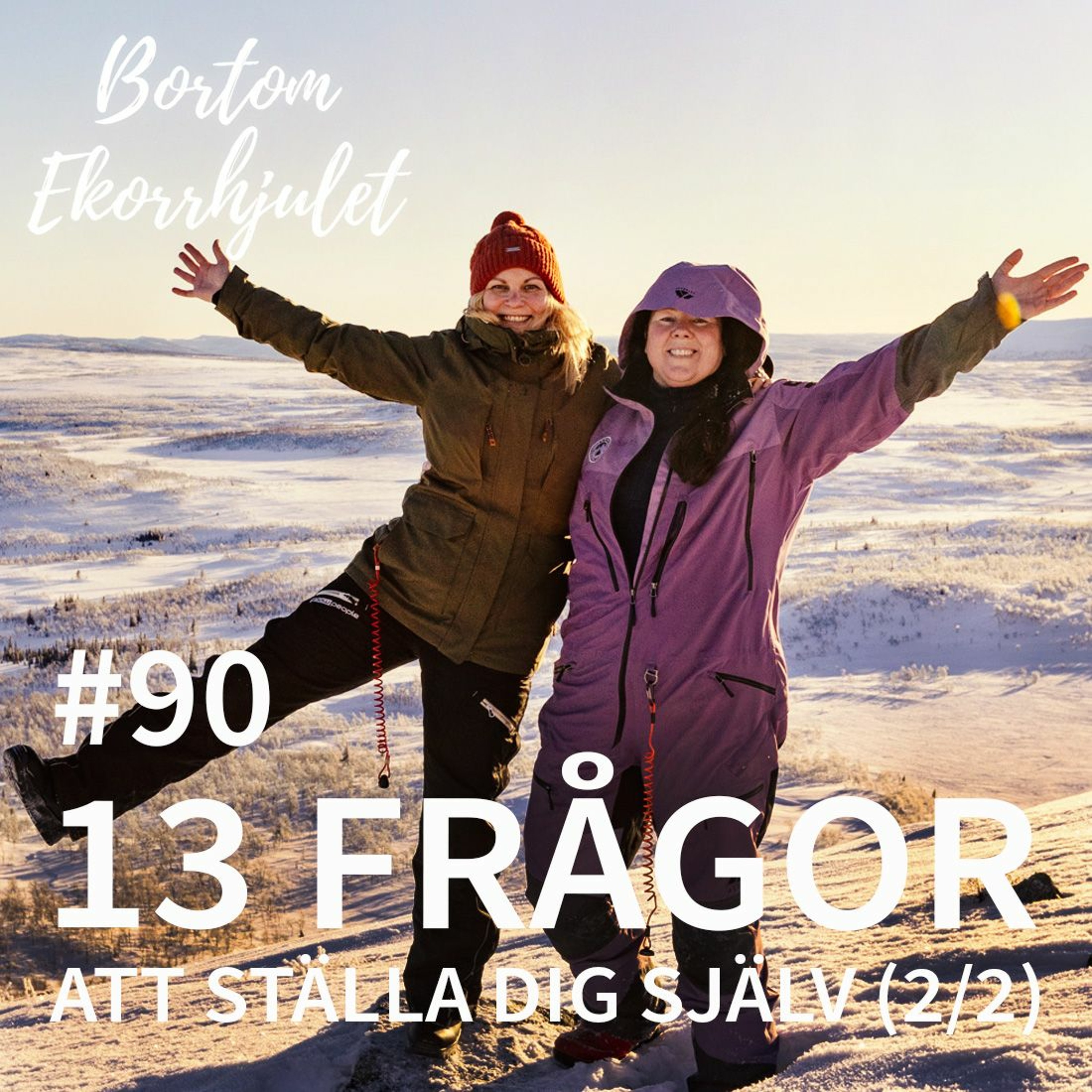 89. 13 frågor att ställa dig själv (2:2) episode artwork