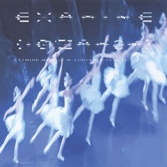 examine-mix-134-w-souvenir-2026-01-12