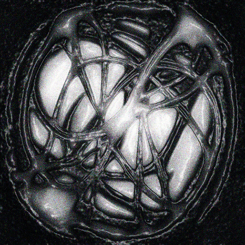 PREMIERE: snackbites - skin collector [anarchypnotica]