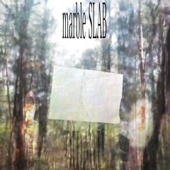 marble SLAB by trevino