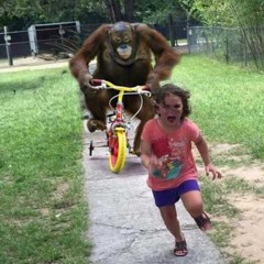 TRAINING WHEELS