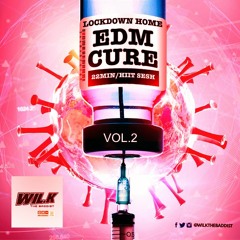 Lockdown Home EDM Cure Vol.2 *Explicit