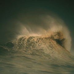 NRMNT - Waves