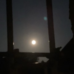 Tv in Black and White - Lana Del Rey