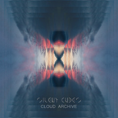 Silent Cubes - Time Dilution