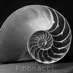 Stels   -  Fibonacci(mixed 18.06.21)