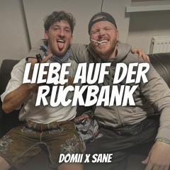 LiEBE AUF DER RÜCKBANK (DOMII x SANE x NIKLVS EDIT)