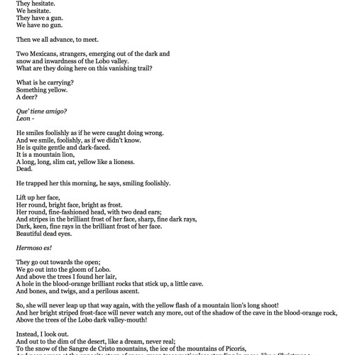 Baby mountain lion picture