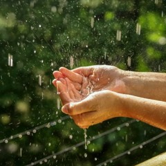 FederalismFederalist Beautiful Music FREE DOWNLOAD