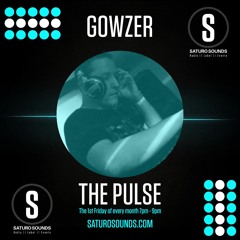 Gowzer The Pulse Episode 1