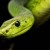 Artwork for Serpiente