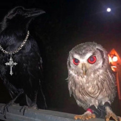 07 pala freestyle (prod. P.A x DreaminColor)