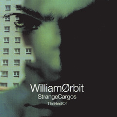 【MD】William Ørbit ※CDではありません William Orbit – Orbit | Releases | Discogs