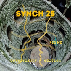 Synchronicities 25 - 432hz - Sovereignty, Sisters and Brothers