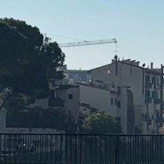 Gattamelata freestyle -.delbo