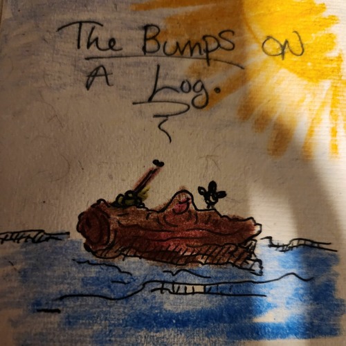 wyatt Flores- "Please don't go" Cover by Bumps On A Log