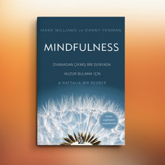 Üç Dakikalık Nefes Alanı Meditasyonu (8. Kayıt)