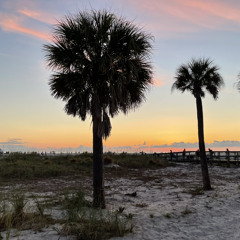 Café Deluxe Osei The Seventh AH