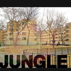 Jungle - True Judah