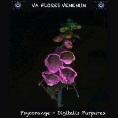 7. Psycorange - Digitalis Purpurea (192 BPM) VA Flores Venenum - Metacortex Records
