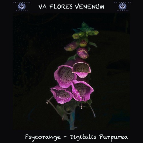 7. Psycorange - Digitalis Purpurea (192 BPM) VA Flores Venenum - Metacortex Records