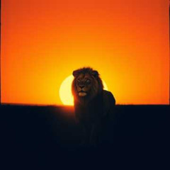 Dj.DamianR - Light of My Fight (based on Psalm 27)