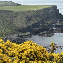 في يوم وليلة  الفنان خلف المشعوف