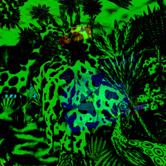 shamanism