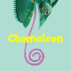 Chameleon(with 김큰곰)