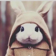 Gizwop ft. No Savage Unreleased