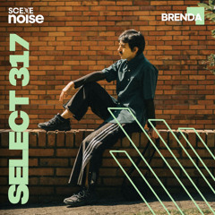 Select 317: Mixed by Brenda