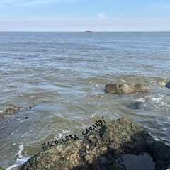 escollera sarandí