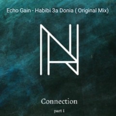 Echo Gain - Habibi 3a Donia  ( Original Mix ).