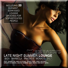 14 Luxury Lounge Cafe Allstars - Gettin' Funky (The Luxury Lounge Cafe Anthem)