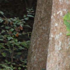 Thursday And Im Feeling Pretty Good (With Charlie Tamm)  (extended)