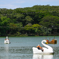 Lagoa do Taquaral amplia funcionamento de atrações nas férias de julho