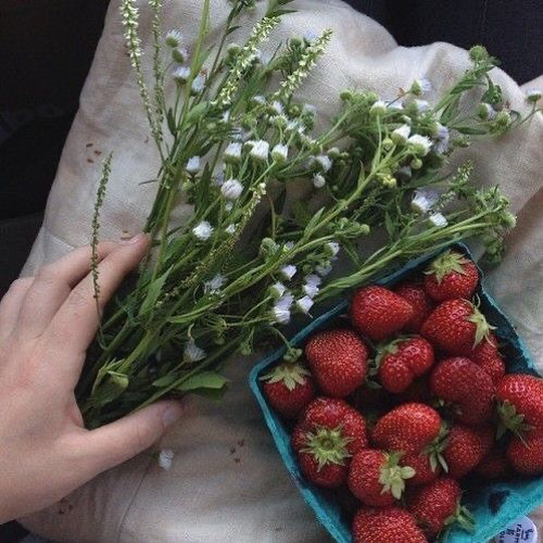 strawberry joint [DEMO]