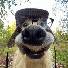 the groovy fun mix