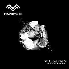 Steel Grooves - Let You Have It (Original Mix)