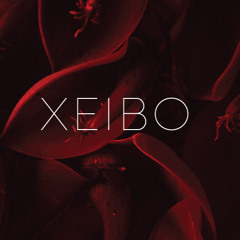 Xeibo - Live DJ set - 215 Vibe, Chicago, IL- December 3, 2024