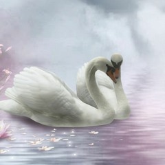 HARM OF WILL REMIX BJORK SELVA FURIA